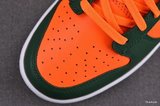 Low Miami Nike Dunk Hurricanes DD1391-300 0118